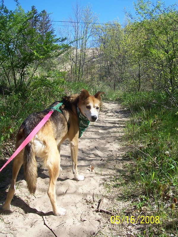 Indiana Dunes National Park